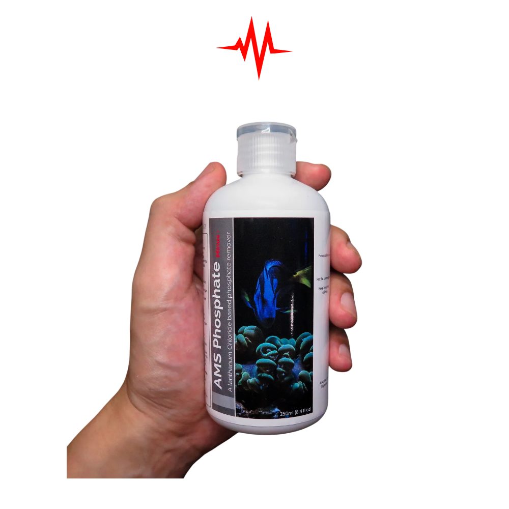 Precision AMS Phosphorus