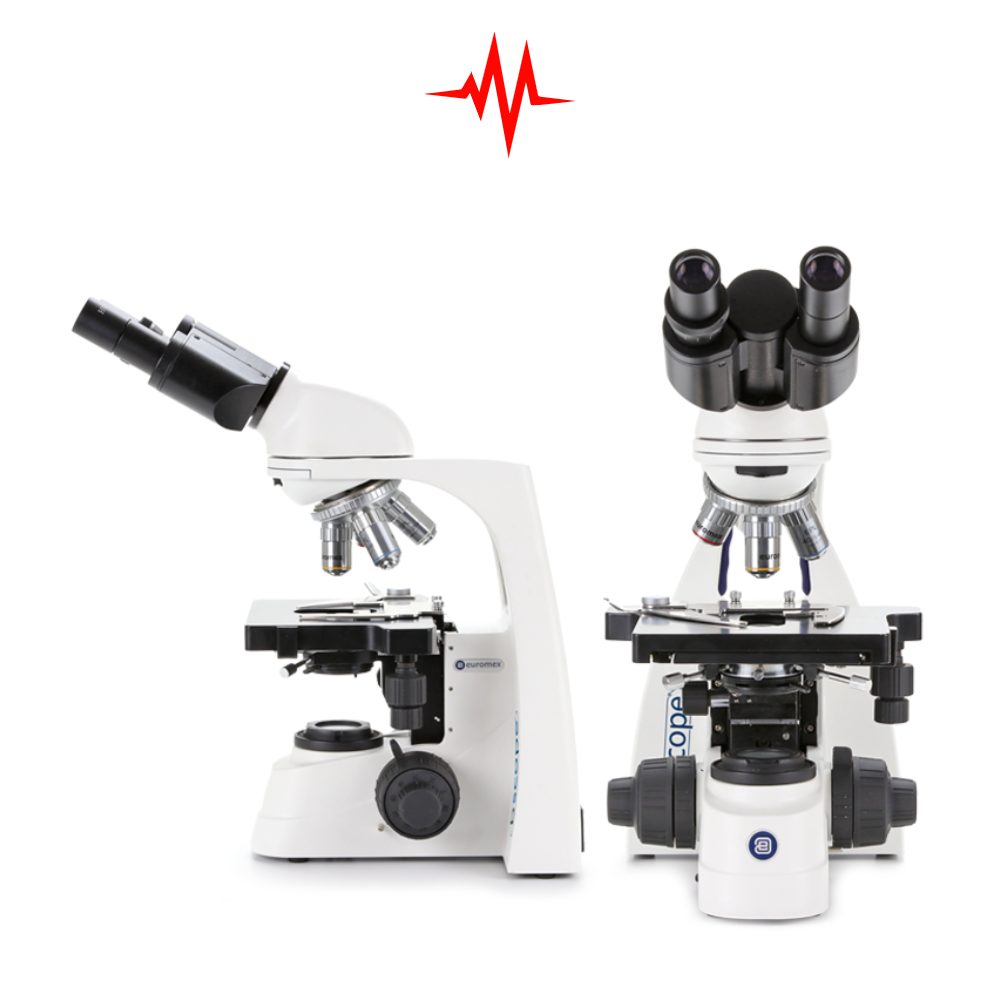 Precision bScope BS.1152 PLI Binocular Microscope
