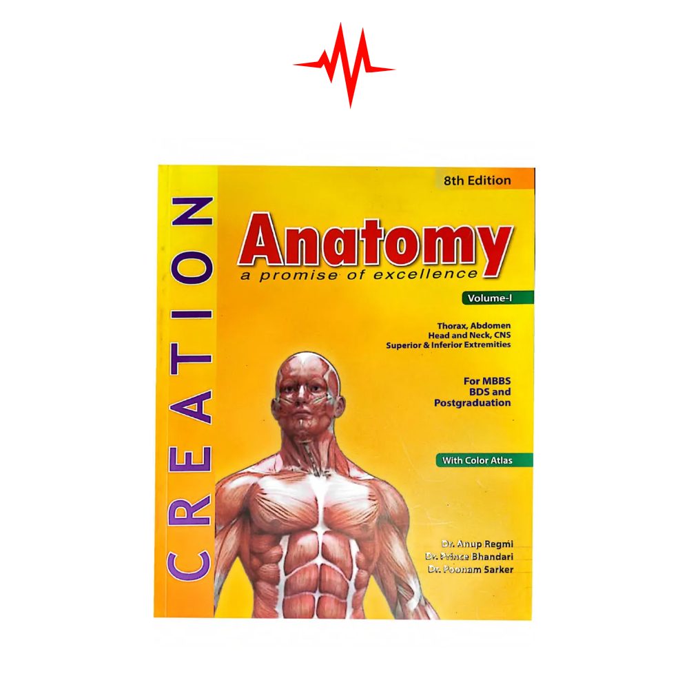 Creation Anatomy