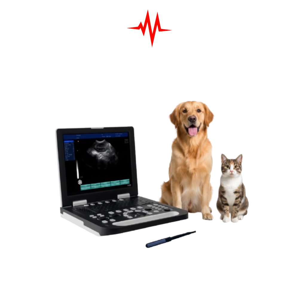 Precision Gelt G-800 Veterinary Ultrasound Machine
