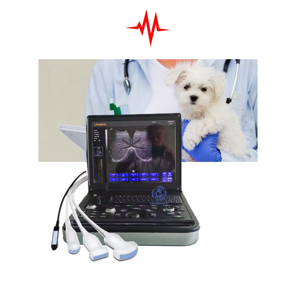 Precision Gelt G-900 Veterinary Ultrasound Machine