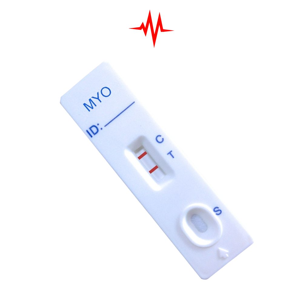 Precision Myoglobin Rapid Test Device – Apoti POCT Analyzer